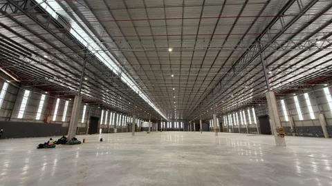 WhatsApp Image 2026-02-03 at 12.55.59 (3).